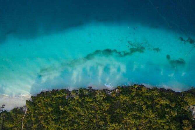 El Nido Palawan Mangrove and Sand Bar Tour, with Lunch - Boat transfers, pickup, and the private format