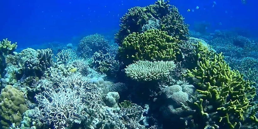 El Nido, Sibaltan: Private Snorkeling & Secret Islands Tour - Is $52 good value?