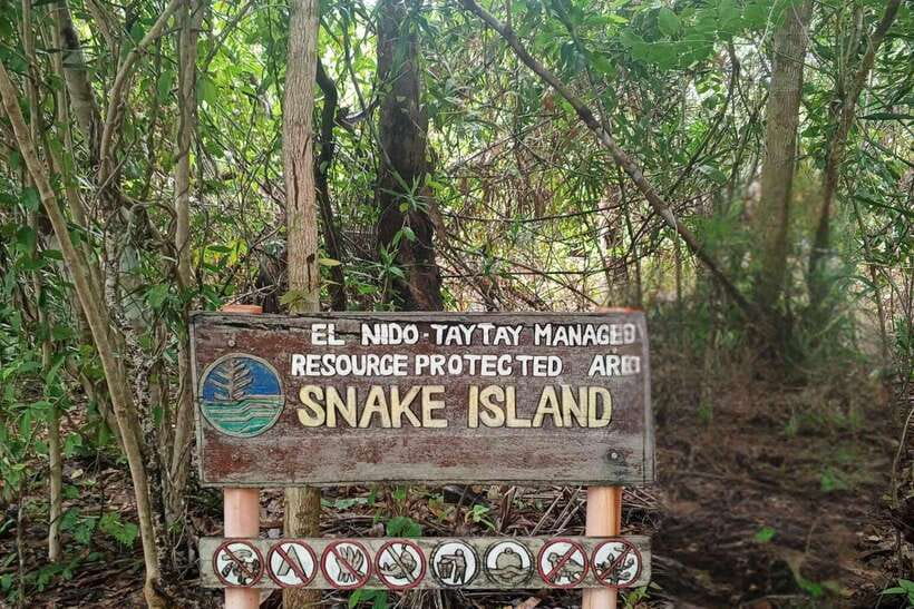 El Nido: Tour B with Snake Island, Cudugnon Cave, and More - Key Points Before You Book