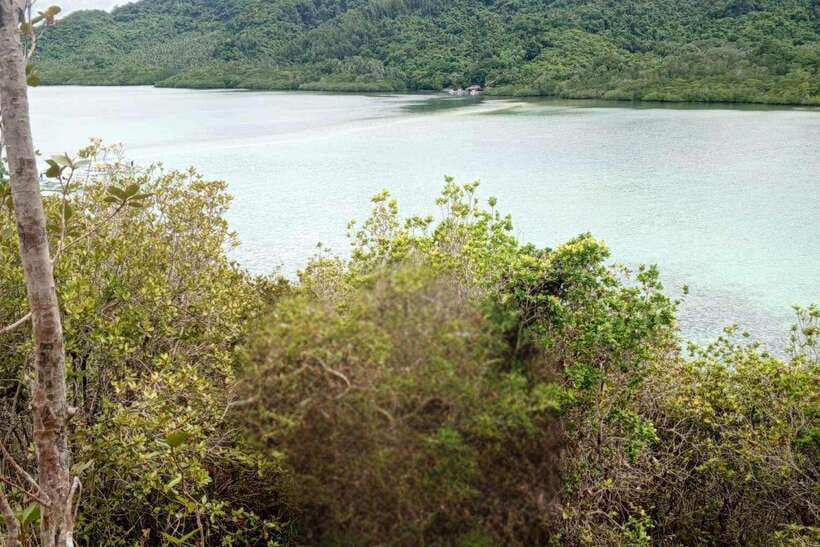 El Nido: Tour B with Snake Island, Cudugnon Cave, and More - Why Tour B Works as a Seven-Hour Day