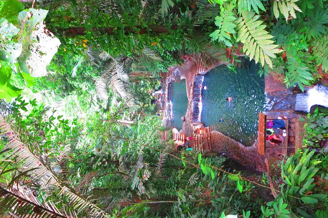 Escape to Enchanting Hidden Valley Springs! with Transfers*** - Entering the warm pools and forest grounds