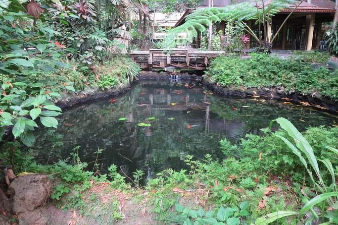 Escape to Enchanting Hidden Valley Springs! with Transfers*** - Filipino lunch and the pace of the afternoon