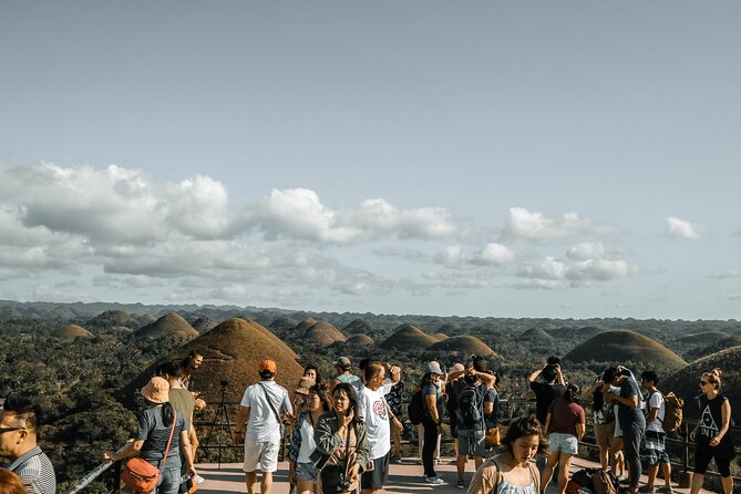 Famous Bohol Chocolate Hills Loboc River Cruise Tarsier Tour - Bohol Tarsier Conservation Area: quiet observation is the rule