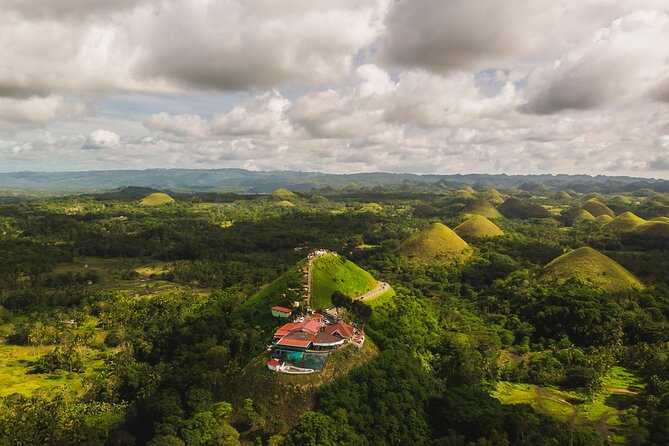 Famous Bohol Chocolate Hills Loboc River Cruise Tarsier Tour - Bilar Man-Made Forest: a quick stop with a useful story