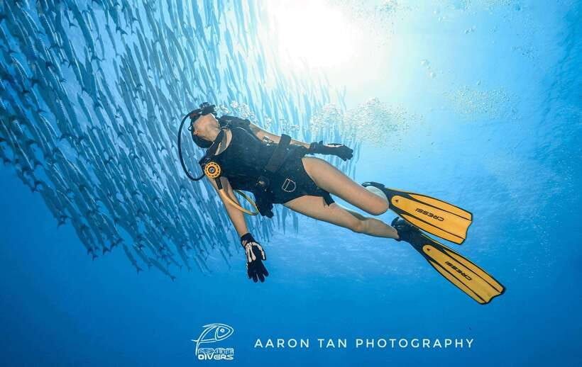 Fisheye Divers: Discover Scuba Diving - Key Points Before You Book