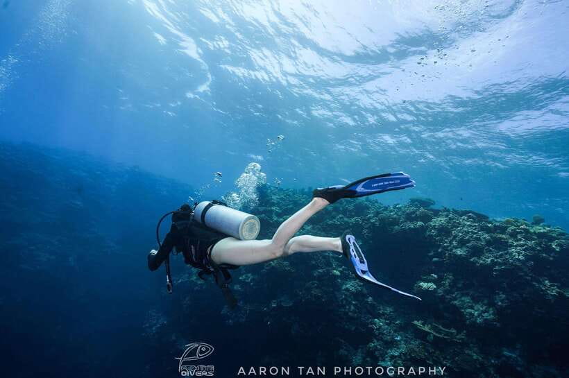 Fisheye Divers: Discover Scuba Diving - The Classroom Briefing Sets the Tone