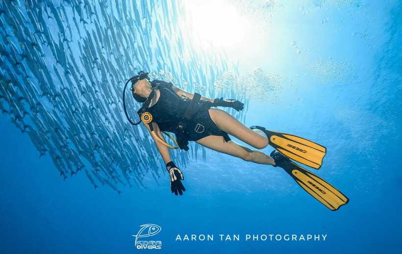 Fisheye Divers: Discover Scuba Diving - Comfort After the Water
