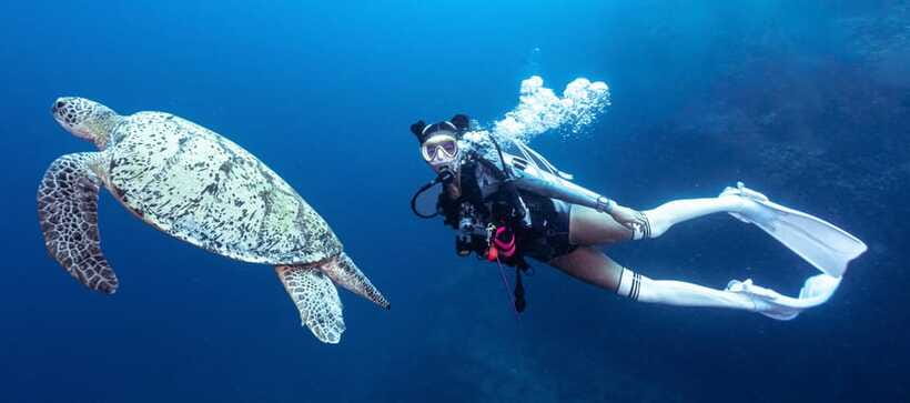 Fisheye Divers: Discover Scuba Diving - Who Will Enjoy This Most