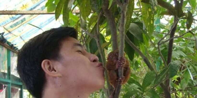 From Bohol & Panglao Island: Full-Day Bohol Tour - Why this Bohol day tour works well