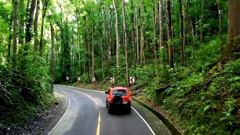 From Cebu: Bohol Countryside & Buffet Lunch Exclusive Tour - Chocolate Hills, Bohol’s great oddity