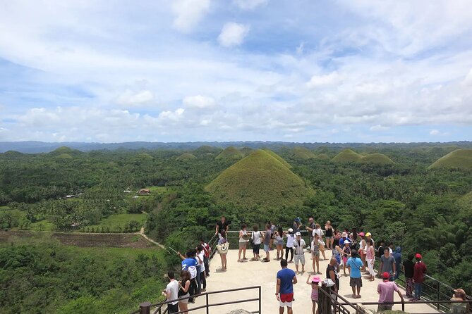 From Cebu: Bohol Countryside Private Tour & Loboc River Cruise - The Real Shape of This 12-Hour Bohol Trip