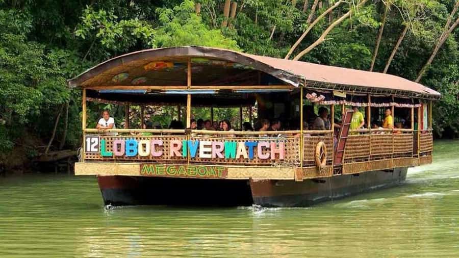 From Cebu: Bohol Countryside Private Tour with Buffet Lunch - What the private format really gives you
