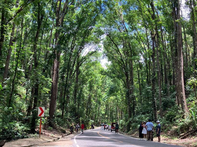 From Cebu City: Bohol Island Highlights in One Day - The early pickup and ferry crossing