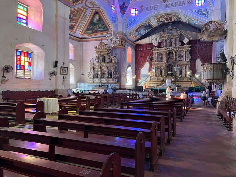 From Cebu City: Bohol Island Highlights in One Day - Meeting Bohol’s tiny tarsiers