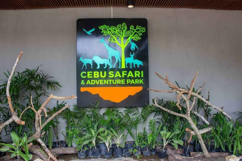 From Cebu City: Cebu Safari and Adventure Park Day Tour - Key points to know before you go