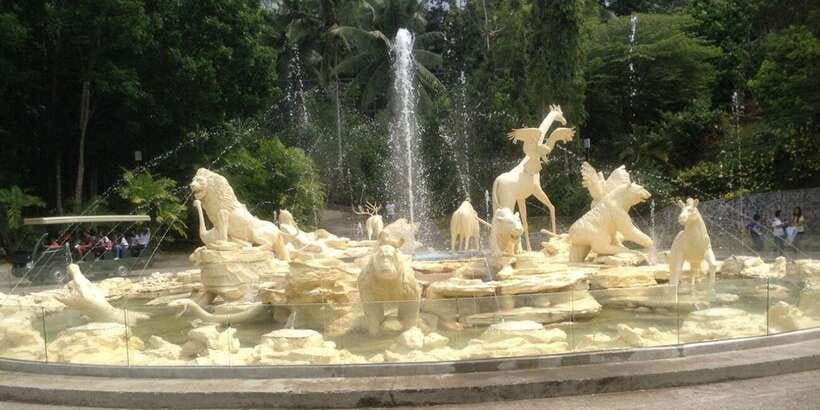 From Cebu City: Cebu Safari and Adventure Park Day Tour - A realistic day plan