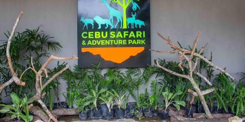 From Cebu City: Cebu Safari and Adventure Park Day Tour - The bird show and the most important timing issue