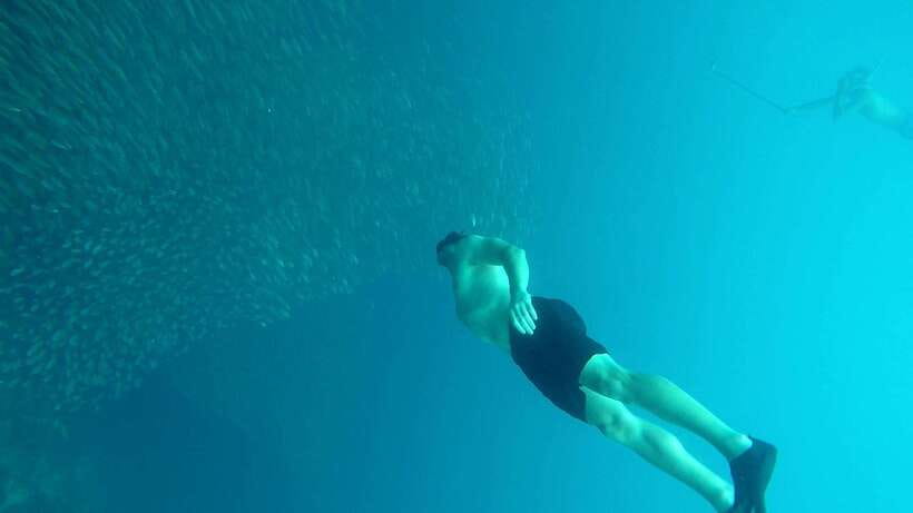 From Cebu City: Moalboal Pescador Snorkeling Tour + Lunch - Three hours in the water requires simple preparation