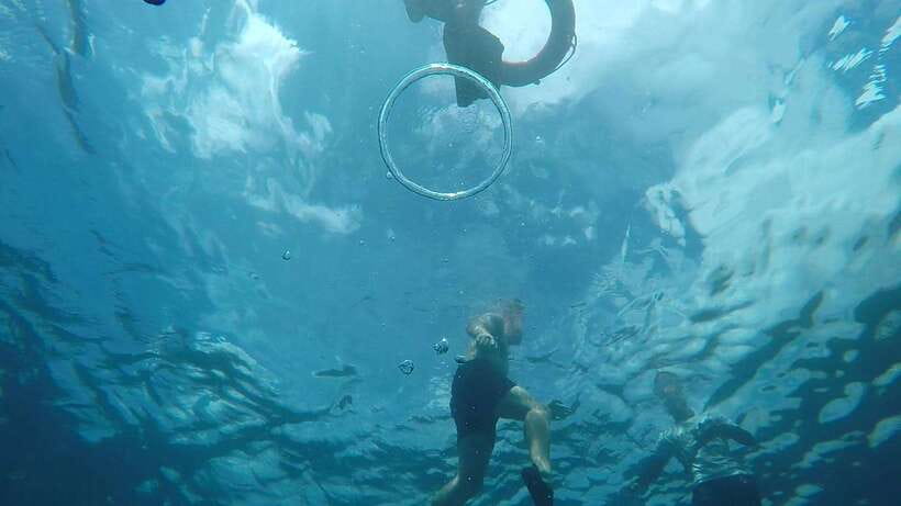From Cebu City: Moalboal Pescador Snorkeling Tour + Lunch - Lunch is practical, not the main event