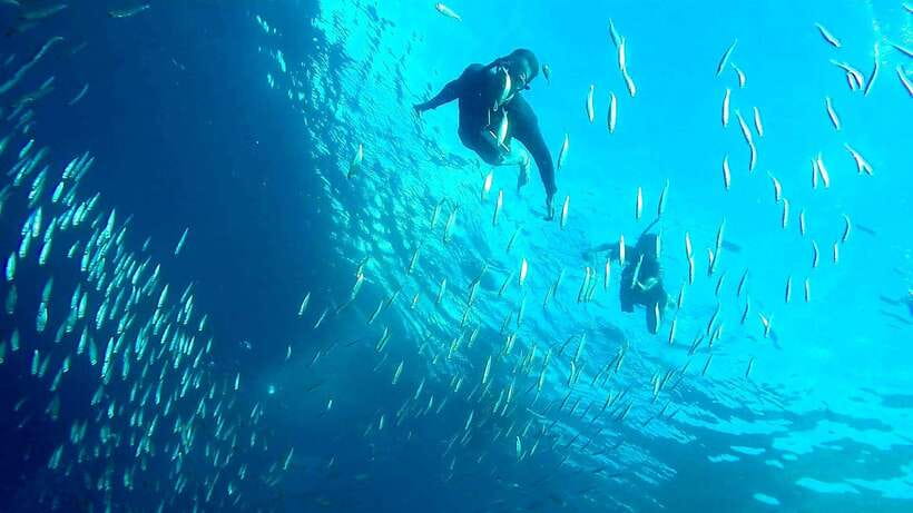 From Cebu City: Moalboal Pescador Snorkeling Tour + Lunch - Free time gives the schedule some breathing room