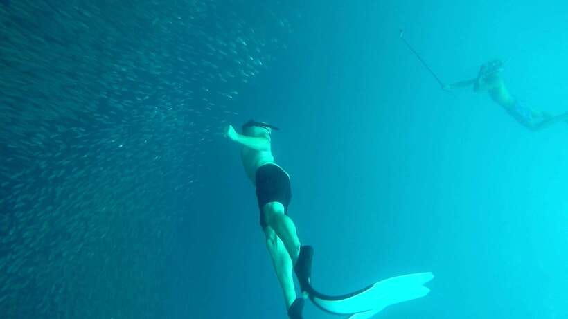 From Cebu City: Moalboal Pescador Snorkeling Tour + Lunch - What the $100 price really covers