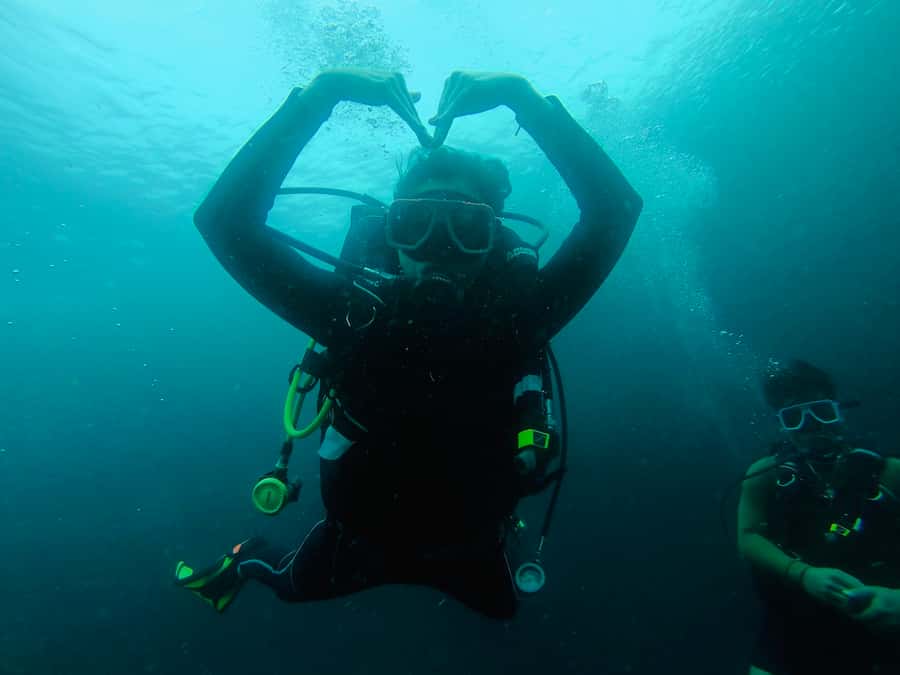 From Cebu City: Scuba Diving with Whale Sharks Trip in Oslob - Leaving Cebu City at 5:00 AM