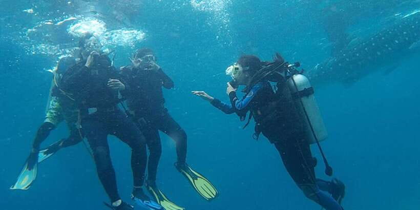 From Cebu City: Scuba Diving with Whale Sharks Trip in Oslob - Who will enjoy this Oslob day trip