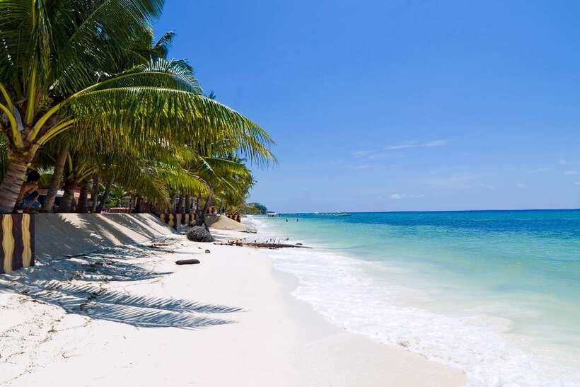 From Cebu: Day Trip to Bohol Highlights - Who will enjoy this Bohol day trip?