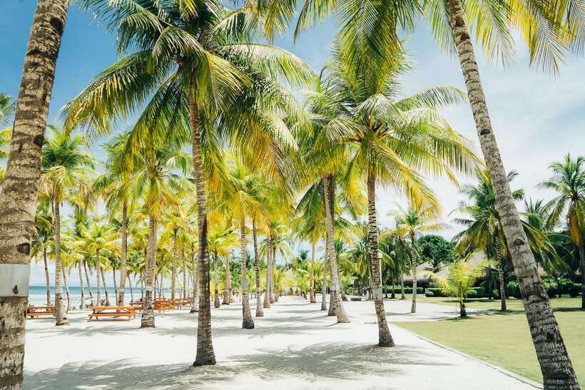 From Cebu: Day Trip to Bohol Highlights - What the $190 price really buys you