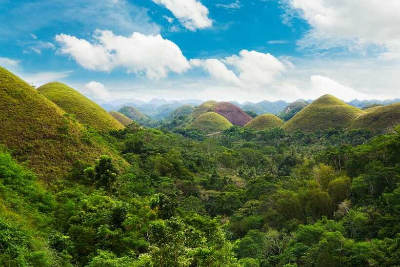 From Cebu: Day Trip to Bohol Highlights - Lunch on the Loboc River