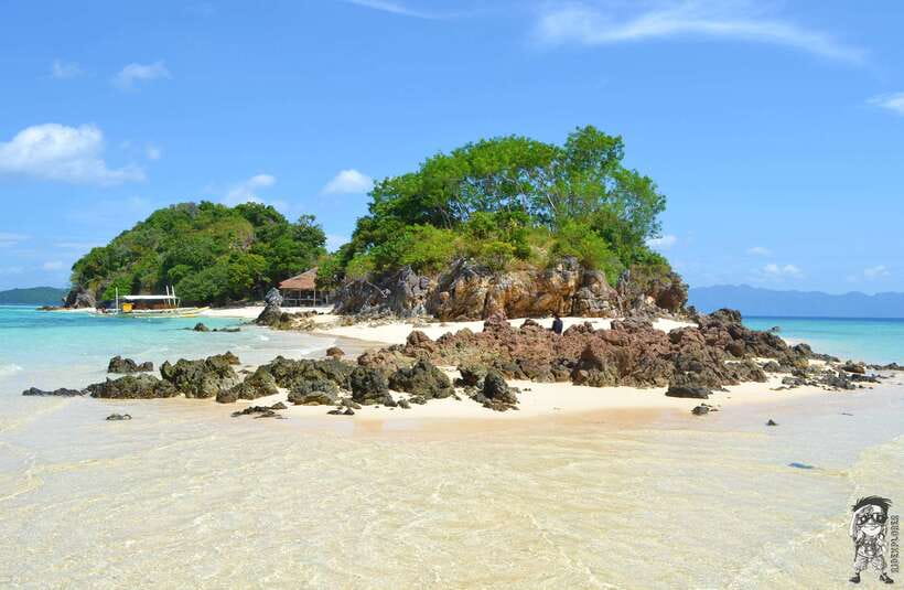 From Coron: Private Island-Hopping Cruise with Lunch - Key points to know before booking