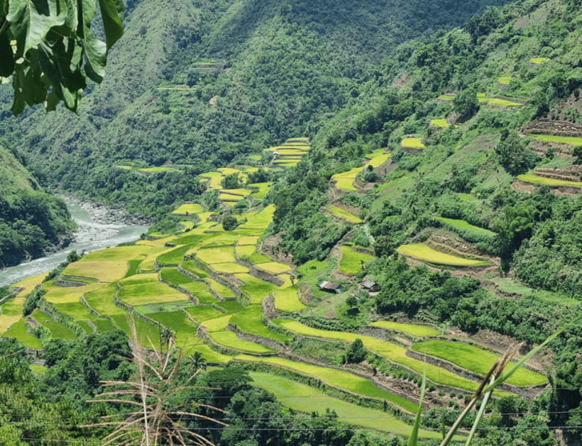 From Manila: 2-Day Buscalan Tour with Apo Whang-od - Meeting the Butbut community