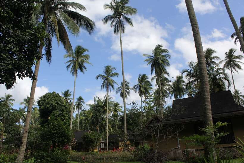 From Manila: Day Tour to Enchanting Hidden Valley - Orchids and unusual tropical plants