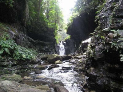 From Manila: Day Tour to Enchanting Hidden Valley - A crater shaped by old volcanic forces