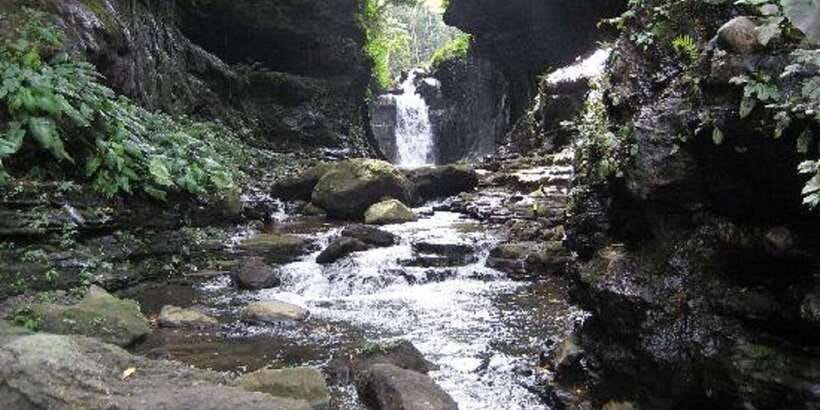 From Manila: Day Tour to Enchanting Hidden Valley - Who should book this Hidden Valley day?