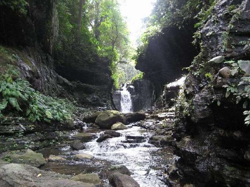 From Manila: Day Tour to Enchanting Hidden Valley - A crater shaped by old volcanic forces