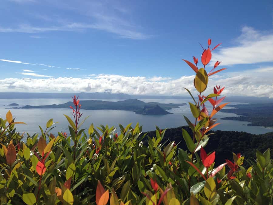 From Manila: Taal Volcano and Lake Boat Sightseeing Tour - Key points to know before booking