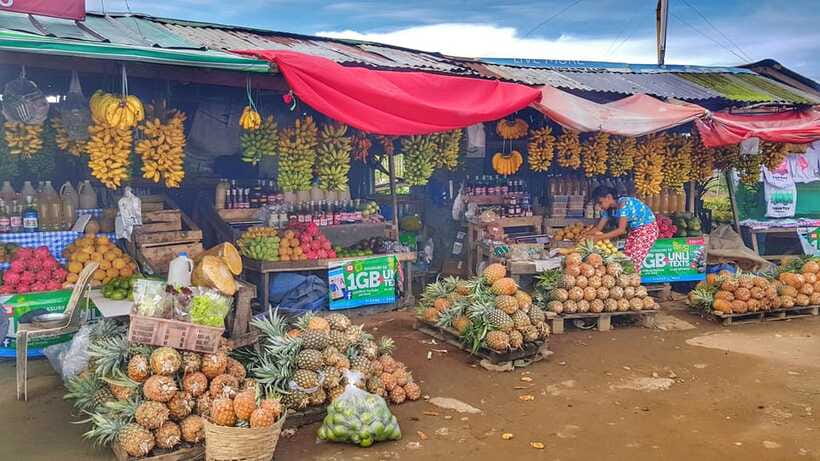 From Manila: Tagaytay Countryside Wonders: A Half-Day Tour - Morning or afternoon: which version fits you?