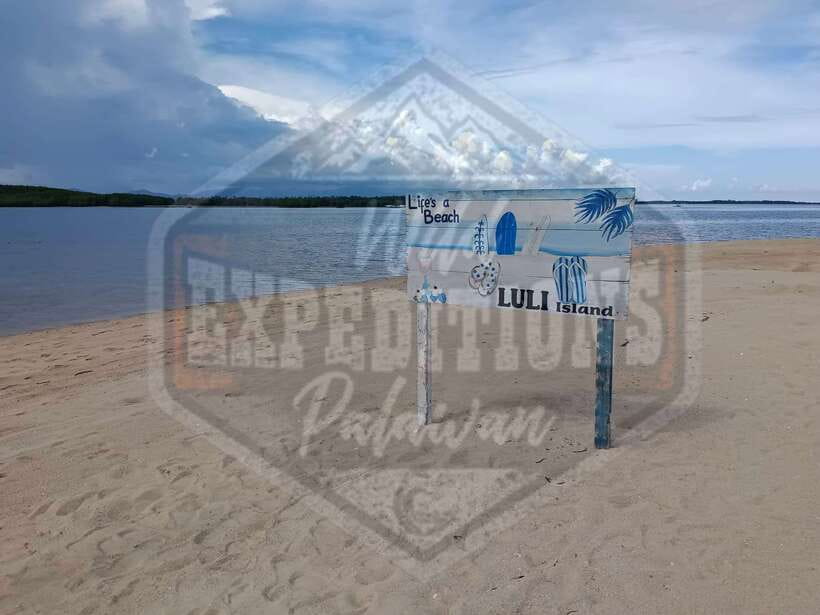 From Puerto Princesa: Honda Bay Island Hopping Full-Day Tour - Starfish Island: sea creatures and the picnic lunch