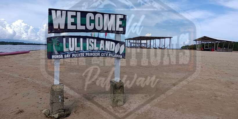 From Puerto Princesa: Honda Bay Island Hopping Full-Day Tour - Guide service and group expectations