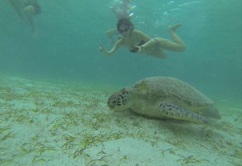 From Puerto Princesa: Port Barton & Island Hopping Day Trip - Key details to know before booking