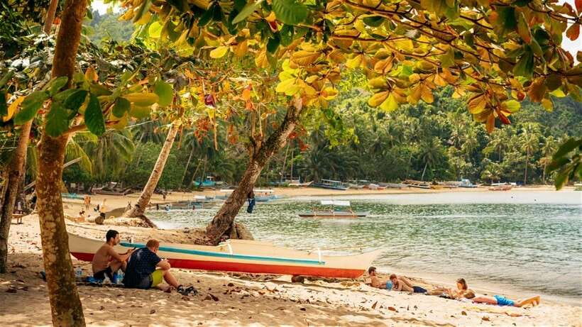 From Puerto Princesa: Port Barton & Island Hopping Day Trip - Turtle Spot and the limits of wildlife promises