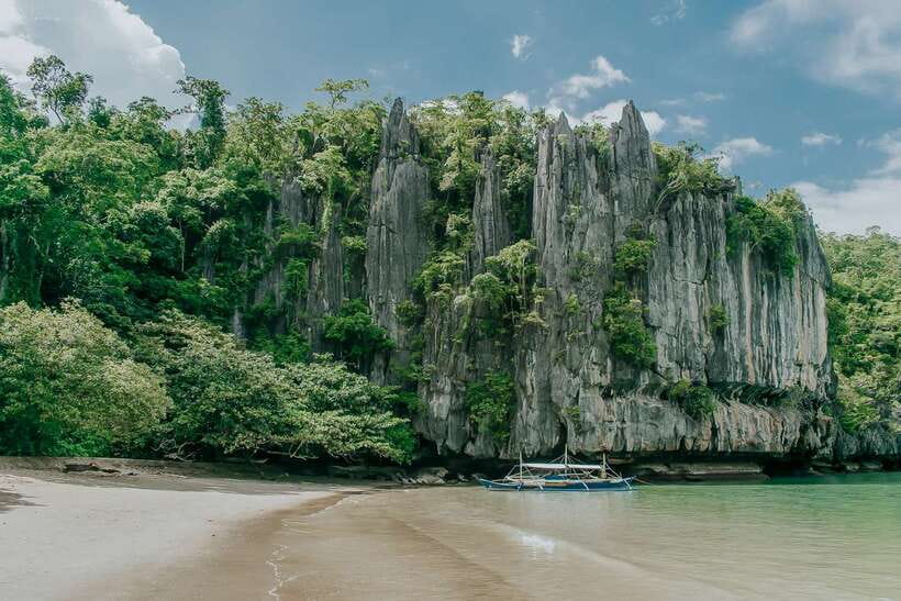 From Puerto Princesa: Underground River Full-Day Trip - Wildlife around the cave entrance