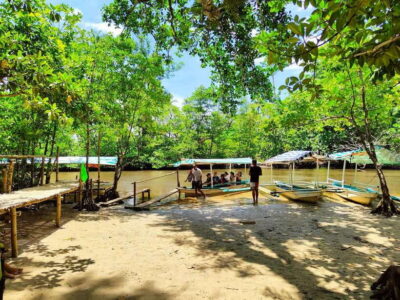 From Puerto Princesa: Underground River Guided Day Trip - The early van ride from Puerto Princesa