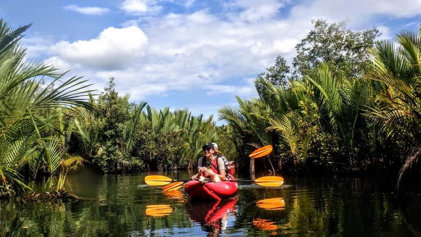 From Tagbilaran City/Panglao Island: Bohol Mangrove Kayaking - What makes this Bohol kayak trip special