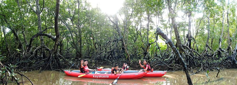 From Tagbilaran City/Panglao Island: Bohol Mangrove Kayaking - Entering the Abatan River from Panglao or Tagbilaran