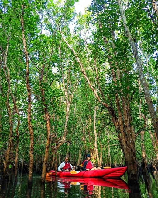 From Tagbilaran City/Panglao Island: Bohol Mangrove Kayaking - Local guides make the difference