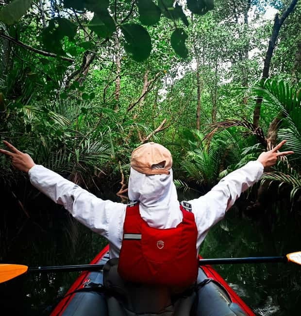 From Tagbilaran City/Panglao Island: Bohol Mangrove Kayaking - Wildlife viewing without a zoo feeling