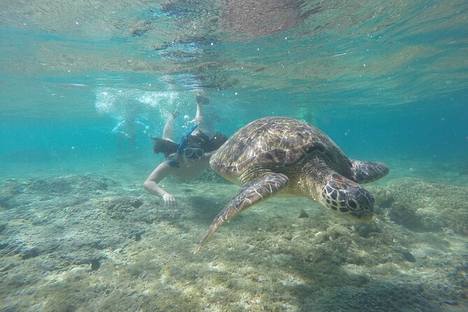 Full Day Apo Island Tour from Dumaguete - Leaving Dumaguete at 6:00 am