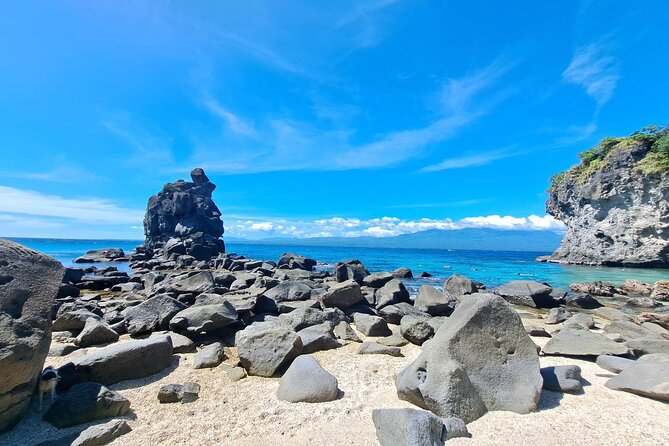 Full Day Apo Island Tour from Dumaguete - Turtle Point and the rules for swimming